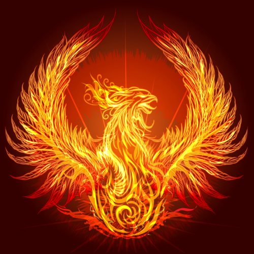 phoenix bird