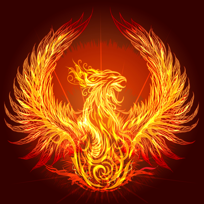 phoenix bird